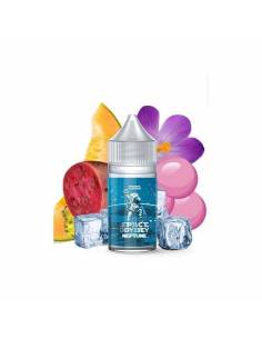 Pack DIY Neptune